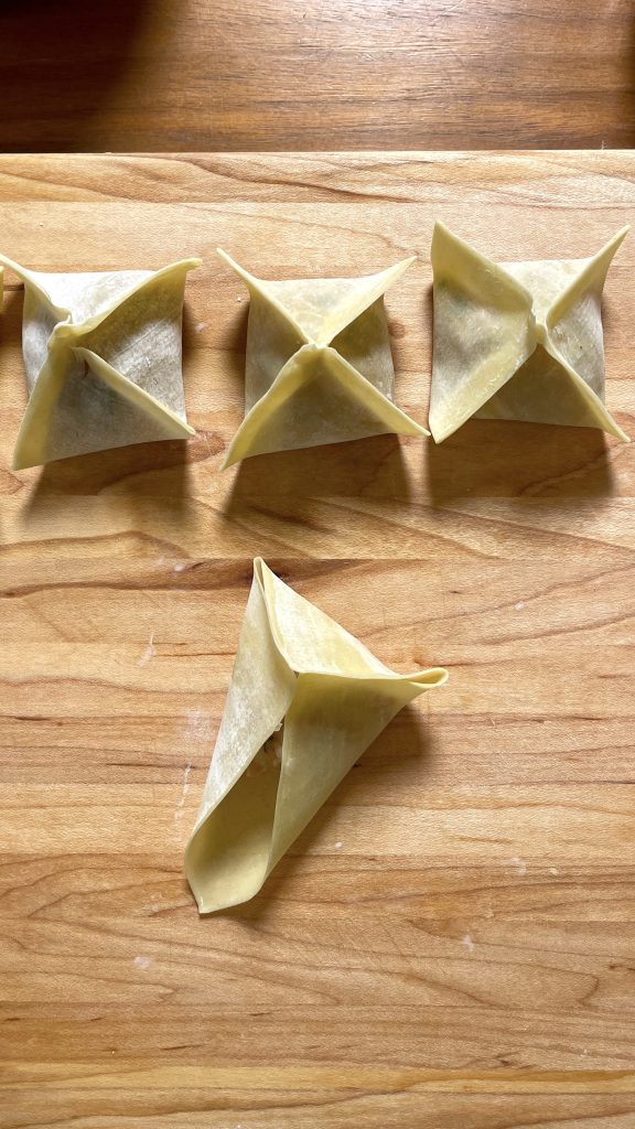 Wonton Wrapping